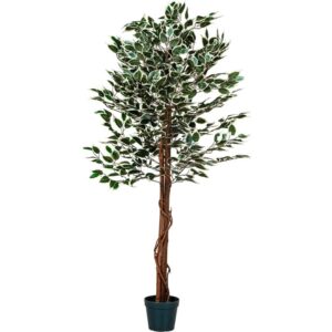 PLANTASIA 27406 Umelý strom rastlina – fikus – 160 cm