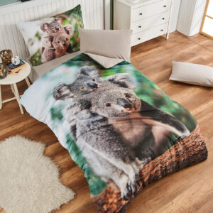 4Home Obliečky Koala bear renforcé