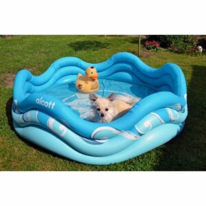 Alcott Nafukovací bazén pre psov, 121,9 x 40,6 x 121,9 cm, modrá