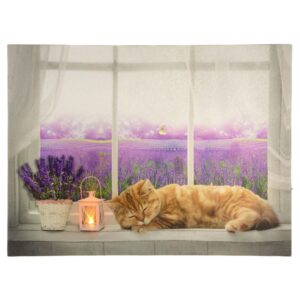 Nexos 86701 Nástenná maľba mačka na okne